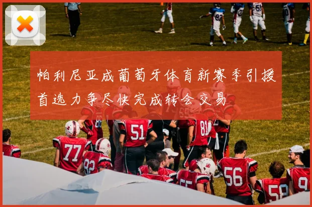 帕利尼亚成葡萄牙体育新赛季引援首选力争尽快完成转会交易