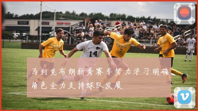 马利克布朗新秀赛季努力学习明确角色全力支持球队发展
